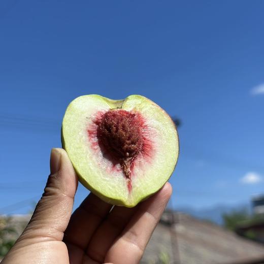 云南大理冬桃    4.5/8.5斤  （软硬两吃） 商品图8