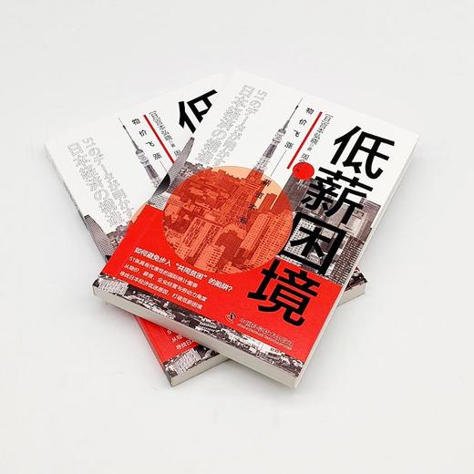 低薪困境 商品图2