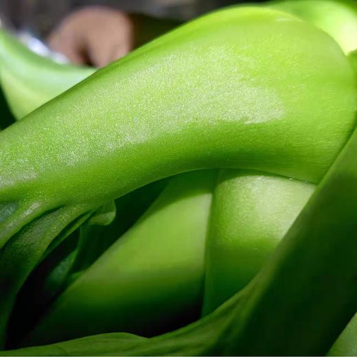 【开化农场的青菜】果之澜自己种的青菜，不用化肥，没有农药，没有特色只有味道和健康的健康蔬菜！5.5斤左右/箱，江浙沪顺丰包邮~ 商品图1