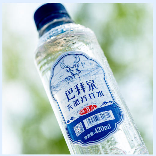 八百去拿天然苏打水 420ml*12 商品图0