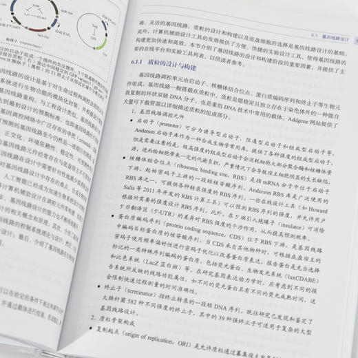 合成生物学智能化设计与应用 人工智能技术辅助合成生物学 生物技术AI AI辅助*合成 商品图2