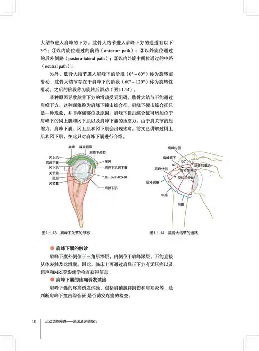 运动功能障碍——原因及评估技巧 (日)工藤慎太郎 编 张雅素 译 商品图1