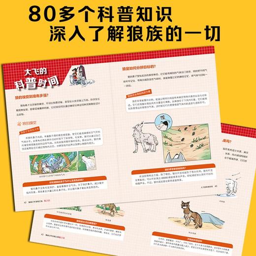 漫画少年冒险之旅 狼之道 商品图5