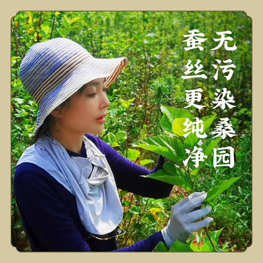 【源头保真】100%长丝 手工桑蚕丝子母被 2条组合 春秋被  夏凉被 结婚赠礼 K仅参与会员折扣 商品图9