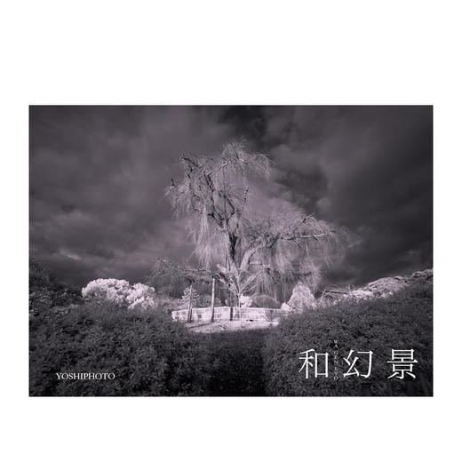 【预订】和幻景，和幻景 原版日文摄影作品集 商品图0