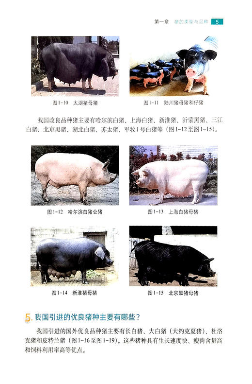 养猪300问 第六版  【周元军 编著，官方正版，可开发票，下单时留开票信息和电子邮箱】 商品图2