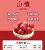 嘟一口红山楂 约270g/盒 商品缩略图3