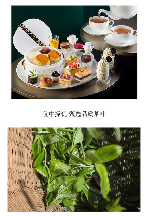 半岛玫瑰红茶25g 商品图5