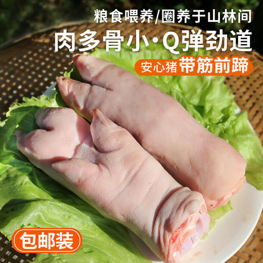 【包邮】安心猪蹄 粮食喂养 整只带筋前蹄  急冻锁鲜  满口肉香 400g*3只/400g*5只 商品图0