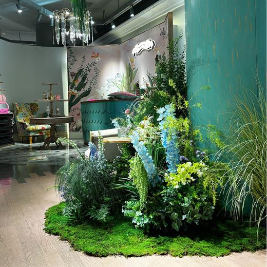 绿植植物造景花艺置景 商品图1