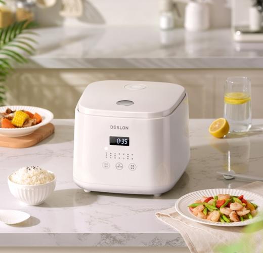 德世朗多功能电饭煲DDQ-FB511 商品图0