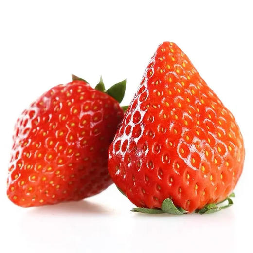 【顺丰直达！山东隋珠香野草莓】来自大自然的美味，颗颗人工甄选，个大饱满，无农药残留，营养健康又放心，当季新鲜老人/小孩/孕妇均可食用，新鲜水果非丹东奶油草莓L 商品图4