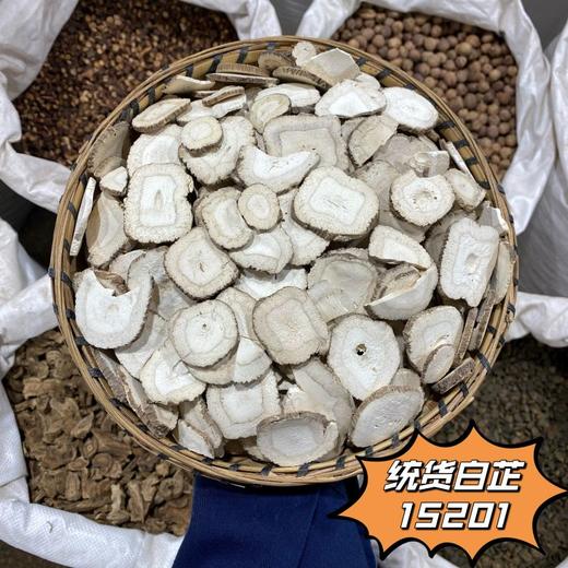 白芷 常用规格 白芷圆片 香白芷 川白芷片 商品图3