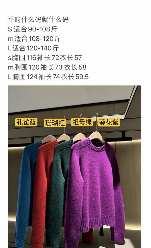 临时链接（蓝色L） 商品图0