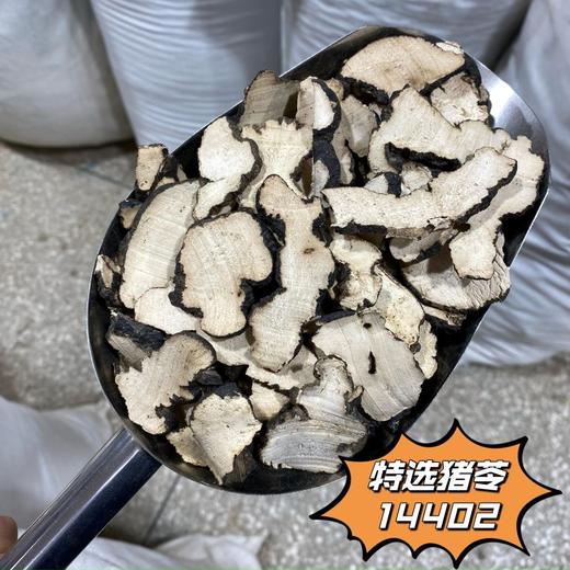 猪苓 常用规格切片 云南产中大片猪苓 商品图2