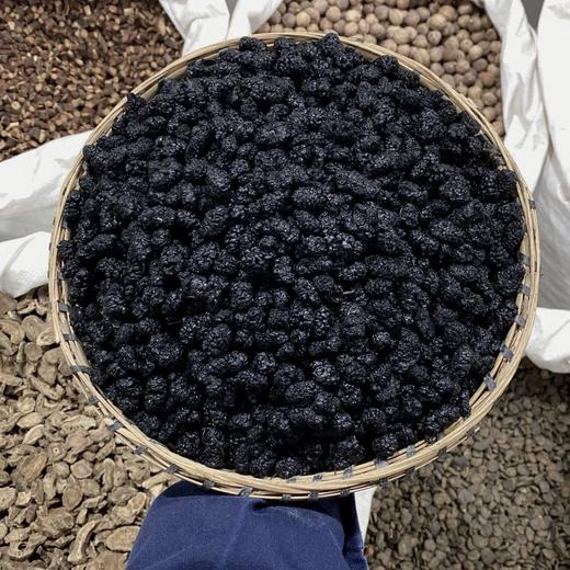 桑葚子 桑椹子 家用食材 商品图0