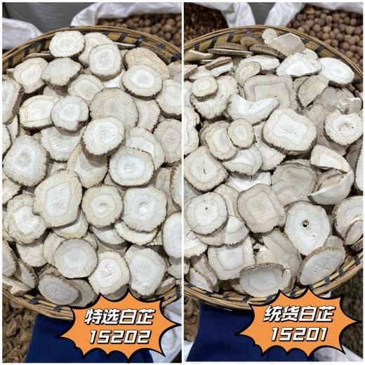 白芷 常用规格 白芷圆片 香白芷 川白芷片 商品图0