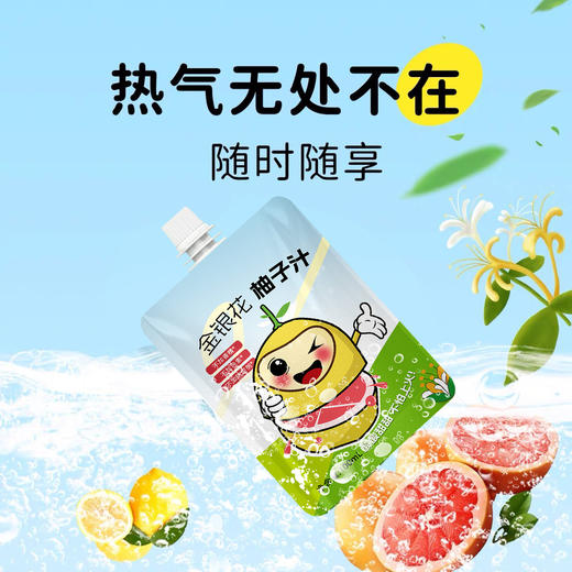 【维生素补给站，富含维生素C】金银花柚子汁 儿童爱喝金银花果汁 酸酸甜甜西柚汁 清润下火饮料100ml/包-QQ 商品图2