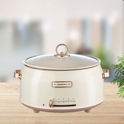 SCH510 电火锅 商品图0