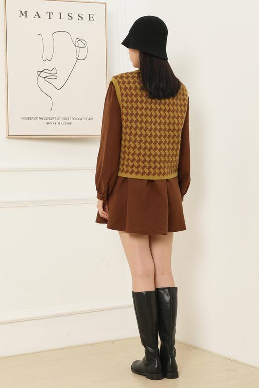 WHO KNOWS 学院风棕色连衣裙马甲两件套 15076 商品图5