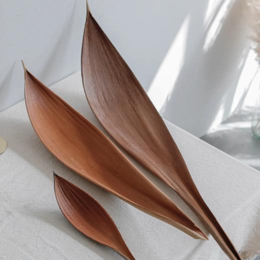 同城甄选小众可可叶干花叶材婚礼用花家庭插花家居软装摆件装饰品 商品图0