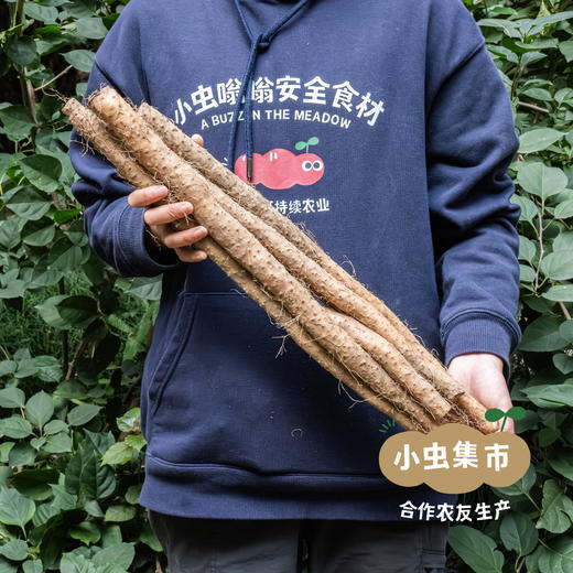 生态老品种怀山药 5斤装 | 合作农友生产，产自河南焦作，生产者：王红亮等人 *【公平贸易农人定价】 商品图7