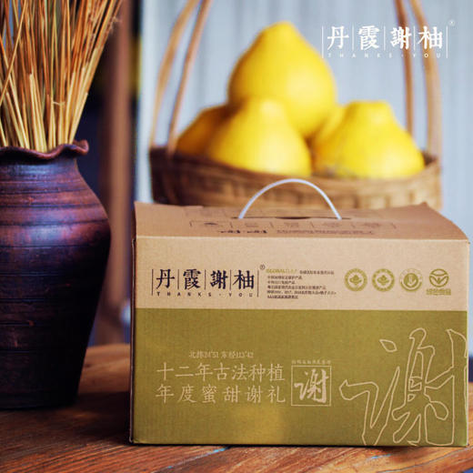 【韶关丹霞谢柚】长坝沙田柚|98元起抢购8斤礼盒装4个，158元抢购14斤实惠袋装，纯甜蜜香，送礼佳品，全国地理标志产品，省内包邮~ 商品图2