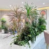 绿植造景布置 商品缩略图0