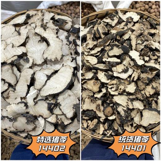 猪苓 常用规格切片 云南产中大片猪苓 商品图0