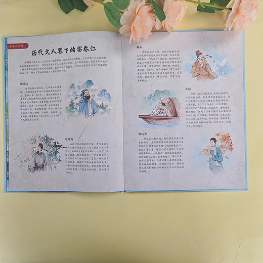 大家小绘系列：与朱元思书 商品图1