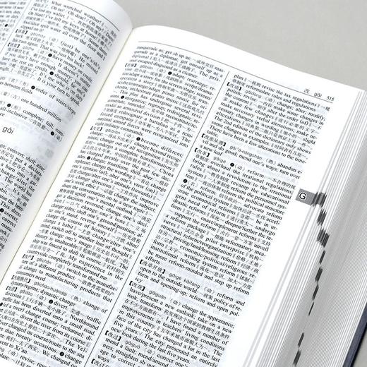 新世纪汉英词典(“一带一路”国家语言词典系列) 商品图5