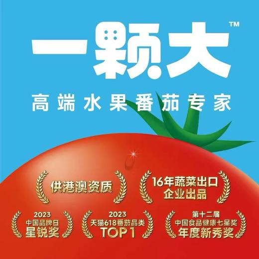 【会员25.5/斤】一颗大串收樱桃小番茄 商品图2