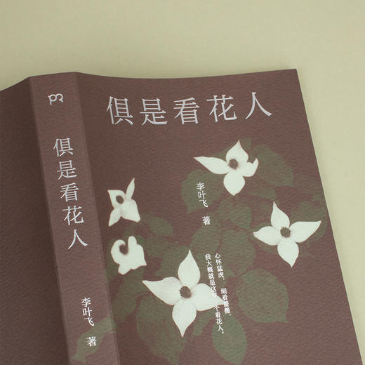 《俱是看花人》 商品图1