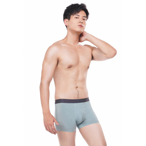都市丽人男士内裤平角裤商务通勤60S莫代尔单品内裤FK04C8 商品图2