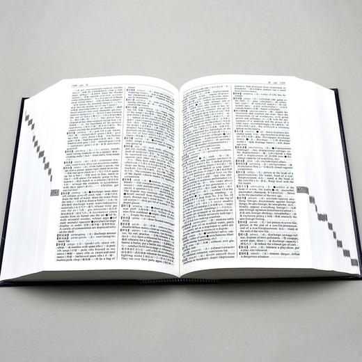 新世纪汉英词典(“一带一路”国家语言词典系列) 商品图6