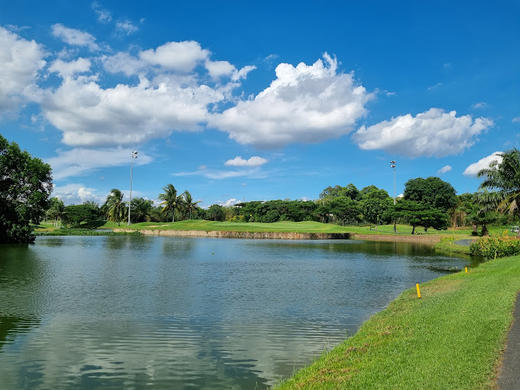 越南双鸽高尔夫俱乐部 Twin Doves Golf Club | 越南高尔夫球场 俱乐部 | 胡志明高尔夫 商品图1