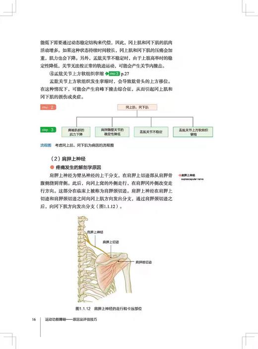 运动功能障碍——原因及评估技巧 (日)工藤慎太郎 编 张雅素 译 商品图3