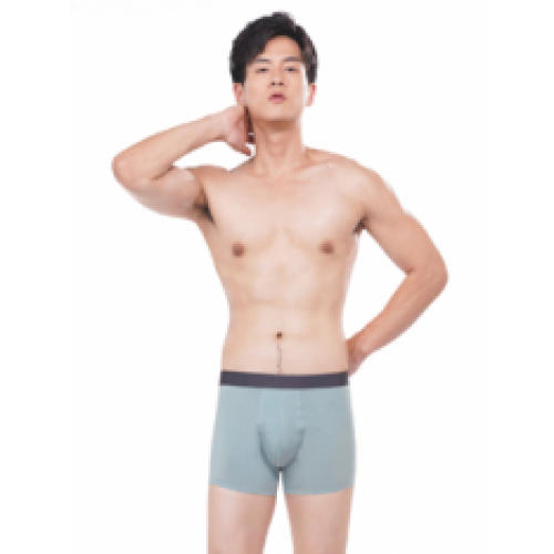 都市丽人男士内裤平角裤商务通勤60S莫代尔单品内裤FK04C8 商品图1