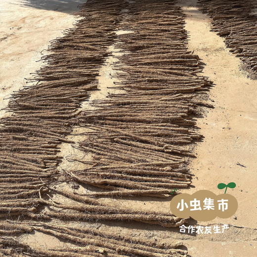 生态老品种怀山药 5斤装 | 合作农友生产，产自河南焦作，生产者：王红亮等人 *【公平贸易农人定价】 商品图11