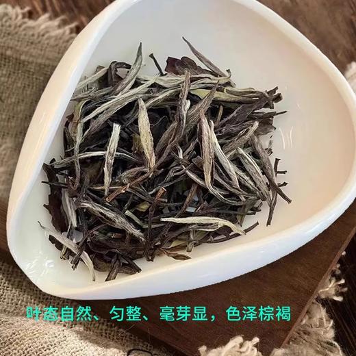 中粮-中茶 蝴蝶牌【五年陈】白牡丹5168 福鼎老白茶铁罐250克中粮出品 商品图7