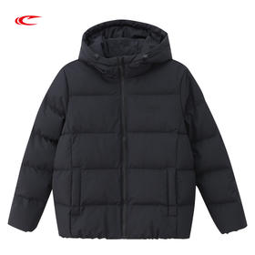 【运动生活 收摆连帽抗静电】赛琪简约男士羽绒服254813