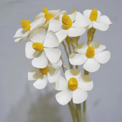 永生花紫罗兰1扎12支 商品图0