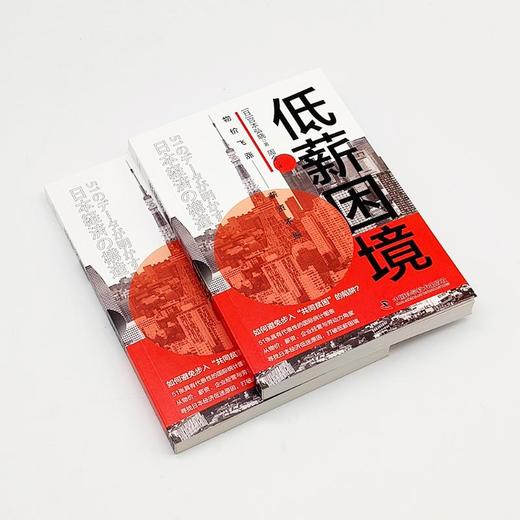 低薪困境 商品图3