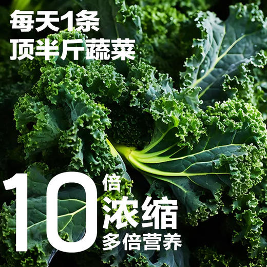 【食蔬新方式，好喝易坚持】羽衣甘蓝粉 冻干青汁羽衣甘蓝蔬菜粉 膳食纤维饱腹代餐 脱水果蔬粉-QQ 商品图2