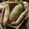 生态萝卜（中通快递） | 合作生产*Ecological radish| Partner Production 商品缩略图3