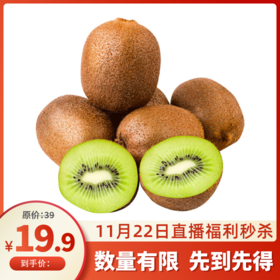 PAGODA百果园 翠香猕猴桃15粒普通装（中果，单果70-90g）