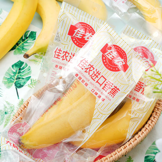 【分仓直发包邮】佳农进口香蕉礼盒2kg（10-12根） （165g-200g/根） 商品图1