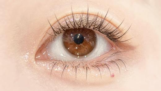 Hanawink半年抛·小baby棕·14.0mm超小着色·2片 商品图13