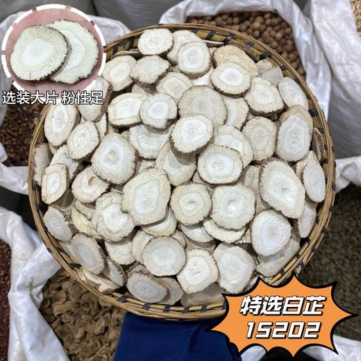 白芷 常用规格 白芷圆片 香白芷 川白芷片 商品图1