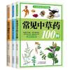 生活必备中医药常识:全3册 商品缩略图0